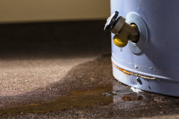 Best Basement Water Damage Restoration in Sturgeon, MO