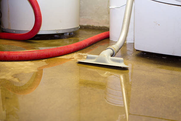 Best Water Damage Assessment and Inspection in Sturgeon, MO